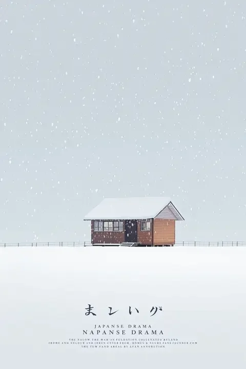 雪落无声封面海报 - 电影剧情